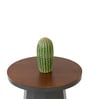 Slip Metal Side Table in Olive Green & Exotic Teak Finish