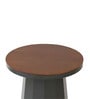 Slip Metal Side Table in Olive Green & Exotic Teak Finish