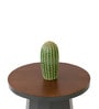 Slip Metal Side Table in Olive Green & Exotic Teak Finish