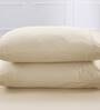 Beige Solid 200 TC 100% Cotton King Sized Bed Sheets with 2 Pillow Covers
