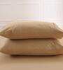 Beige Solid 200 TC 100% Cotton Single Bed Sized Fitted Bed Sheets with 2 Pillow Covers