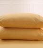Gold Solid 200 TC 100% Cotton King Sized Bed Sheets with 2 Pillow Covers
