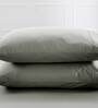 Grey Solid 200 TC 100% Cotton Single Bed Sized Fitted Bed Sheets with 2 Pillow Covers