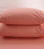 Peach Solid 200 TC 100% Cotton King Sized Bed Sheets with 2 Pillow Covers