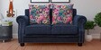 Smart Alton 2 Seater Sofa In Blue Colour
