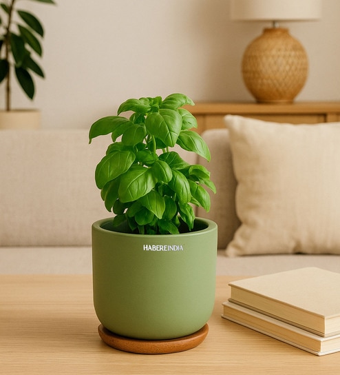 (1Pc) Green Terracotta Plant Pot
