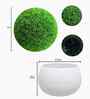 Set Of 2 Green Plastic Faux Greenery Artificial Plants