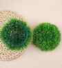 Set Of 2 Green Plastic Faux Greenery Artificial Plants