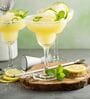 Small Creative High-Footed Glass Roostertail Margarita & Champagne Glass