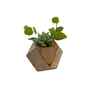 Small Hexagon Wooden Vase With Artificial Succulent Plant