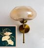 Small Kachori Glass Vintage Globe Wall Sconce Brass Light