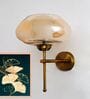Small Kachori Glass Vintage Globe Wall Sconce Brass Light