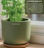 (1Pc) Green Terracotta Plant Pot
