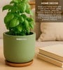 (1Pc) Green Terracotta Plant Pot