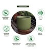 (1Pc) Green Terracotta Plant Pot