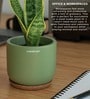 (1Pc) Green Terracotta Plant Pot