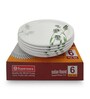 Small Plate Set    Green Berry 7.5   , Stain Free, Glazed Finish, Pure Melamine ,6 Nos.