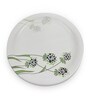 Small Plate Set    Green Berry 7.5   , Stain Free, Glazed Finish, Pure Melamine ,6 Nos.