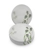 Small Plate Set    Green Berry 7.5   , Stain Free, Glazed Finish, Pure Melamine ,6 Nos.