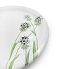 Small Plate Set    Green Berry 7.5   , Stain Free, Glazed Finish, Pure Melamine ,6 Nos.