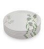 Small Plate Set    Green Berry 7.5   , Stain Free, Glazed Finish, Pure Melamine ,6 Nos.