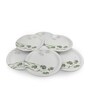 Small Plate Set    Green Berry 7.5   , Stain Free, Glazed Finish, Pure Melamine ,6 Nos.