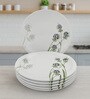Small Plate Set    Green Berry 7.5   , Stain Free, Glazed Finish, Pure Melamine ,6 Nos.