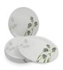 Small Plate Set    Green Berry 7.5   , Stain Free, Glazed Finish, Pure Melamine ,6 Nos.