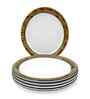 Small Plate Set   Golden Rado  7.5  , Stain Free, Glazed Finish, Pure Melamine ,6 nos.