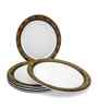 Small Plate Set   Golden Rado  7.5  , Stain Free, Glazed Finish, Pure Melamine ,6 nos.