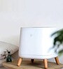 Smart Air The Sqair Air Purifier (Captures PM2.5, PM10, dust & allergens)