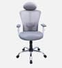 Shioni Ergonomic Chair With Adjustable Handle, Lumbar Support And Neck Rest In Grey Colour