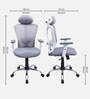 Shioni Ergonomic Chair With Adjustable Handle, Lumbar Support And Neck Rest In Grey Colour