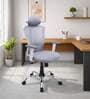 Shioni Ergonomic Chair With Adjustable Handle, Lumbar Support And Neck Rest In Grey Colour