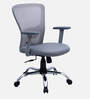 Yuzuki Ergonomic Chair With Adjustable Handle and Lumbar Support In Grey Colour