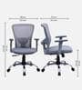 Yuzuki Ergonomic Chair With Adjustable Handle and Lumbar Support In Grey Colour