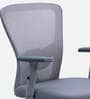Yuzuki Ergonomic Chair With Adjustable Handle and Lumbar Support In Grey Colour