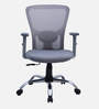 Yuzuki Ergonomic Chair With Adjustable Handle and Lumbar Support In Grey Colour