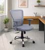 Yuzuki Ergonomic Chair With Adjustable Handle and Lumbar Support In Grey Colour