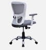 Shioni Ergonomic Chair With Adjustable Handle And Lumbar Support In Grey Colour