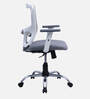 Shioni Ergonomic Chair With Adjustable Handle And Lumbar Support In Grey Colour