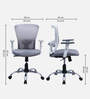 Shioni Ergonomic Chair With Adjustable Handle And Lumbar Support In Grey Colour