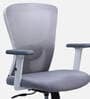 Shioni Ergonomic Chair With Adjustable Handle And Lumbar Support In Grey Colour