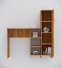 Smart Multipurpose Hutch Desk with storage in Plateau Apple Finish