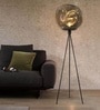 Smoked Glass Globe Tripod Floor Lamp Smoked Glass Globe Tripod Floor Lamp