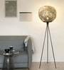 Smoked Glass Globe Tripod Floor Lamp Smoked Glass Globe Tripod Floor Lamp