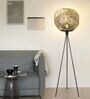 Smoked Glass Globe Tripod Floor Lamp