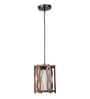 Snake Gold Iron Hanging Light