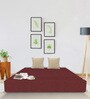 Acum 8 Inch Foam (72x36) In Maroon Colour Single Size Sofa Cum Foldable Mattress