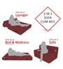Acum 8 Inch Foam (72x36) In Maroon Colour Single Size Sofa Cum Foldable Mattress